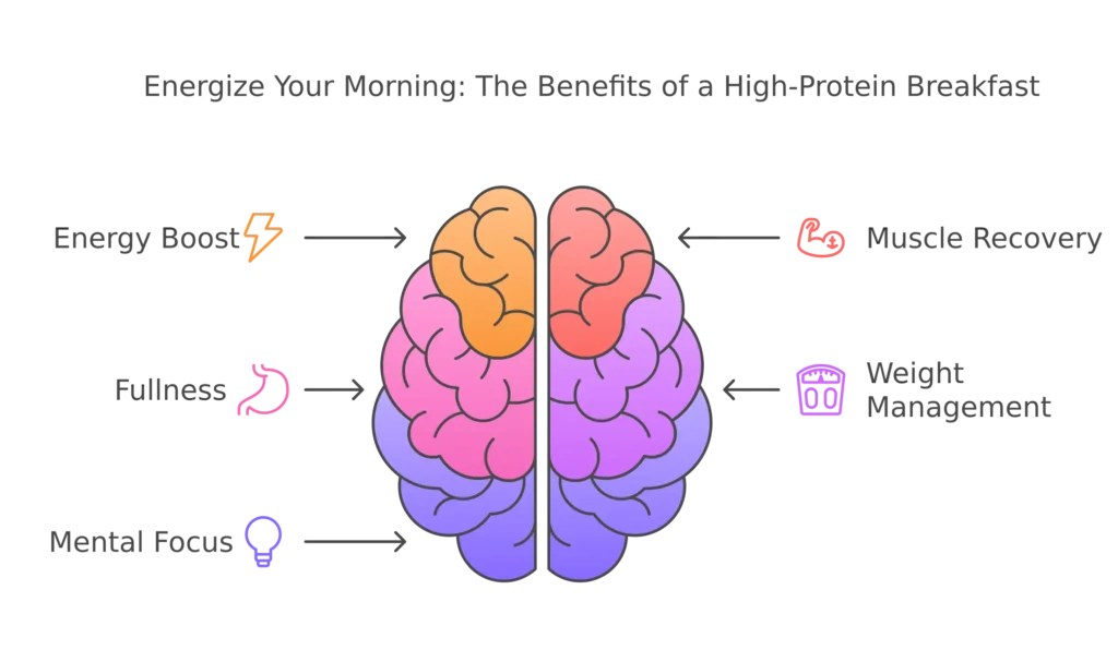 Infographic showing the key benefits of a high-protein breakfast.
